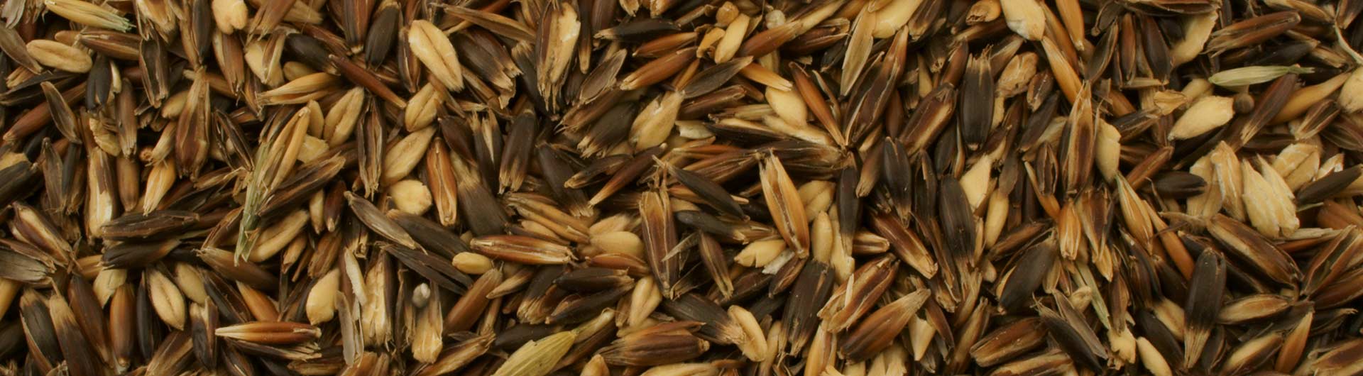 2-Producte-AVENA-NEGRA-I-COPOS